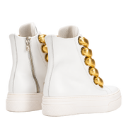 CALIPSO 300 BEAR EDITION – Gold on white